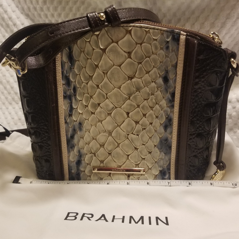 Brahmin multiple colors